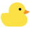 tiny duck