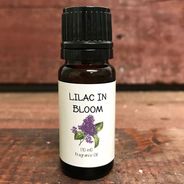10 mL Fragrance Oil - Lilac in Bloom