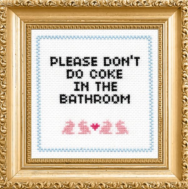 Cross Stitch - Please Don't Do Coke In The Bathroom