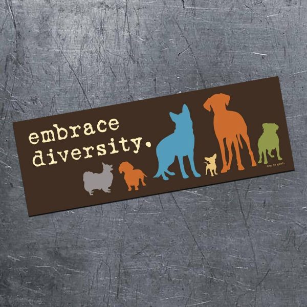 Bumper Magnet - Embrace Diversity Magnet